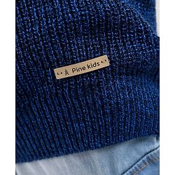 Pine Kids Full Sleeves Moderate Winter Colour Block Pullover Sweater - Multicolour