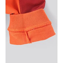 Pine Kids Full Length 100% Cotton Knit Biowashed Joggers Text Print - Orange