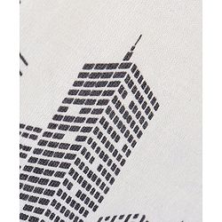 Pine Kids 100% Cotton Biowashed Half Sleeves T-Shirt Text Print- White