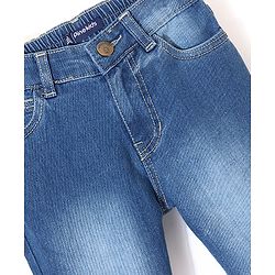 Pine Kids Ankle Length Washed Jeans - Blue