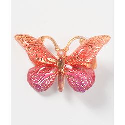 Pine Kids Free Size Butterfly Clips Pack of 6 - Multicolor