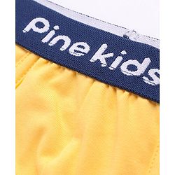Pine Kids Cotton Spandex Knit Solid Colour Trunks Pack of 3 (Colour May Vary)