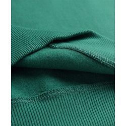 Pine Kids Cotton Knit Full Sleeves Solid Color Pullover Cut & Sew Sweatshirt - Mint