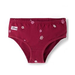 Pine Kids Disney Lycra Knit Panties With Minnie Mouse Graphics Pack of 3 - Multicolor
