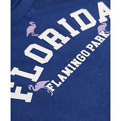 Pine Kids 100% Cotton Single Jersey 180 GSM Knit Half Sleeves Co-ord T-Shirt & Pyjama Night Suit with Florida Text & Flamingo Print with Bio Wash - Blue