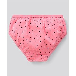 Pine Kids Antimicrobial And Biowashed Cotton Lycra Panties Floral Dot And Stripe Print Pack Of 3 (Colour May Vary)