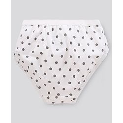 Pine Kids Antimicrobial & Biowashed Panties Pack Of 3 (Colour May Vary)