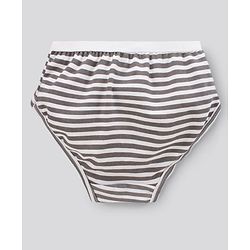 Pine Kids Antimicrobial & Biowashed Panties Pack Of 3 (Colour May Vary)