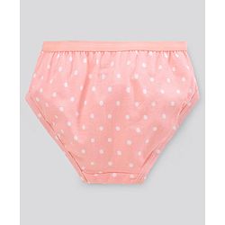 Pine Kids Antimicrobial & Biowashed Panties Pack Of 3 (Colour May Vary)