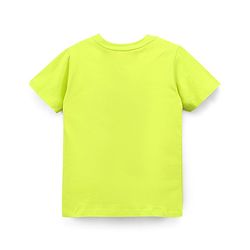 Pine Kids Half Sleeves Cotton T Shirt And Shorts Set Placement Print - Green Grey