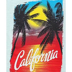 Pine Kids Half Sleeves Bio Washed T-Shirt California Print - Light Blue