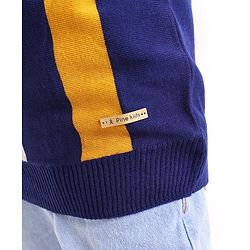 Pine Kids Full Sleeves Knit Vertical Stripe Pullover - Multicolor