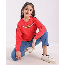 Pine Kids Full Sleeves Embroidered Pullover Sweater - Multicolor