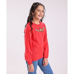 Pine Kids Full Sleeves Embroidered Pullover Sweater - Multicolor