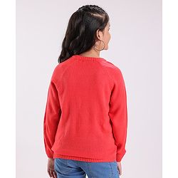 Pine Kids Full Sleeves Embroidered Pullover Sweater - Multicolor