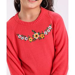 Pine Kids Full Sleeves Embroidered Pullover Sweater - Multicolor