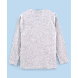 Pine Kids Full Sleeves Biowashed T-Shirt Chameleon & Text Print - Grey