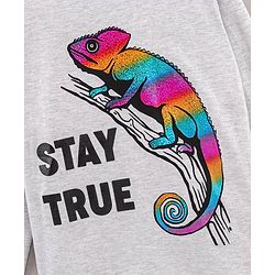 Pine Kids Full Sleeves Biowashed T-Shirt Chameleon & Text Print - Grey