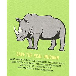 Pine Kids Full Sleeves Biowashed Tee Hippo Print - Light Green