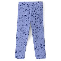 Pine Kids Knit Three Fourth Biowashed Stretchable Leggings Polka Dot Print And Solid Pack of 2- Green Blue