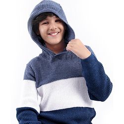 Pine Kids Full Sleeves Color Block Hooded Sweater for Moderate Winter - Multicolour
