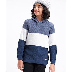 Pine Kids Full Sleeves Color Block Hooded Sweater for Moderate Winter - Multicolour