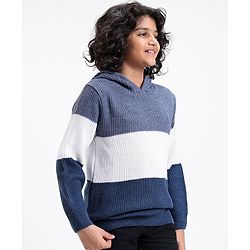 Pine Kids Full Sleeves Color Block Hooded Sweater for Moderate Winter - Multicolour