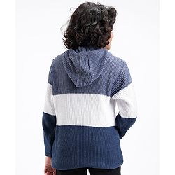 Pine Kids Full Sleeves Color Block Hooded Sweater for Moderate Winter - Multicolour
