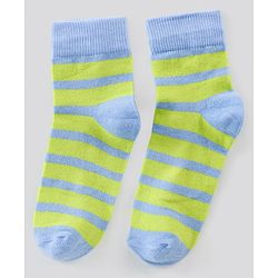 Pine Kids Regular Length Antimicrobial Socks Stripes & Dolphin Design Pack of 3 - Multicolor