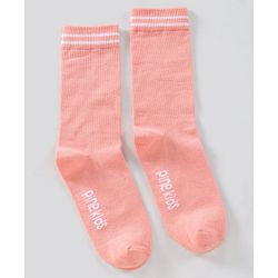 Pine Kids Mid-Calf Non-Terry Anti-Microbial Socks Pack of 3 (Colour May Vary)