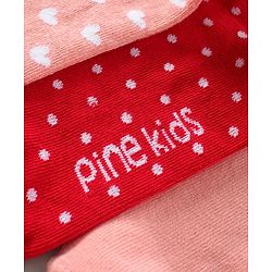 Pine Kids Mid-Calf Non-Terry Anti-Microbial Socks Pack of 3 (Colour May Vary)