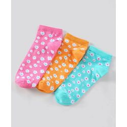 Pine Kids Ankle Length Non-Terry Anti-Microbial Socks Pack of 3 (Colour May Vary)