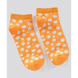 Pine Kids Ankle Length Non-Terry Anti-Microbial Socks Pack of 3 (Colour May Vary)