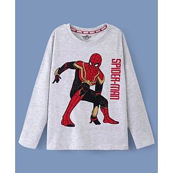 Pine Kids Biowashed Spider Man Collection Full Sleeves Tee - Light Grey