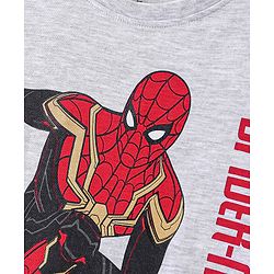 Pine Kids Biowashed Spider Man Collection Full Sleeves Tee - Light Grey