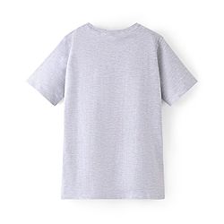 Pine Kids 100% Cotton Half Sleeves Bio Washed T-Shirt Text Print - Light Grey