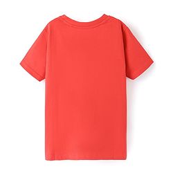 Pine Kids 100% Cotton Half Sleeves Bio Washed T-Shirt Bicycle Print - Red