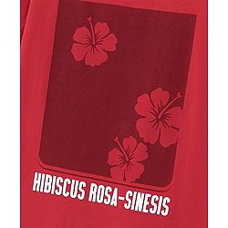 Pine Kids Cotton Half Sleeves T-Shirt Hibiscus Flower Print - Red