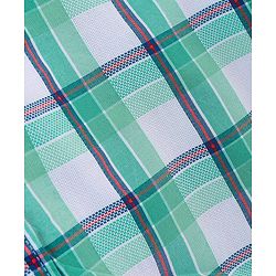 Pine Kids 100% Cotton Half Sleeves Checked Shirt- Blue