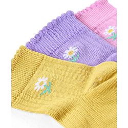 Pine Kids Ankle Length Solid Colour Socks Pack Of 3 - Yellow Purple & Pink