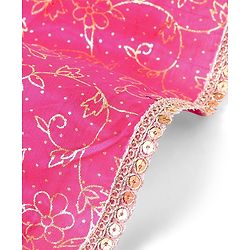 Pine Kids Choli & Lehenga With Full Sleeves Shurg Zari Design - Pink