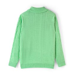 Pine Kids Knit Full Sleeves Sweater With Cable Knit Design - Green
