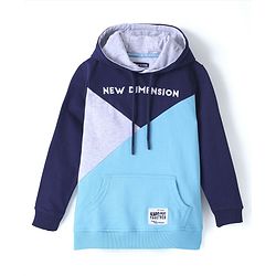 Pine Kids Full Sleeve Hooded Biowashed Sweatshirt Text Print - Aqua