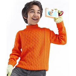 Pine Kids Knit Full Sleeves Sweater With Cable Knit Design - Orange