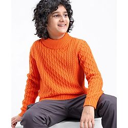 Pine Kids Knit Full Sleeves Sweater With Cable Knit Design - Orange