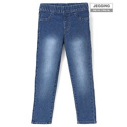 Pine Kids Denim Woven Ankle Length Stretchable Washed Jegging - Blue