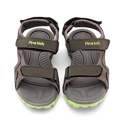 Pine Kids Sandals With Triple Closure - Grey
