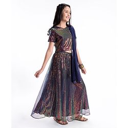Pine Kids Half Sleeves All Over Sequined Lehenga Choli Set-Multicolor