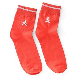Pine Kids High Ankle Length Striped & Basketball Design Socks Pack of 3 - Multicolour
