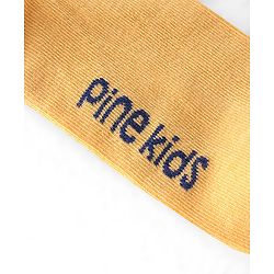 Pine Kids High Ankle Length Text Design Socks Pack of 3 - Multicolour
